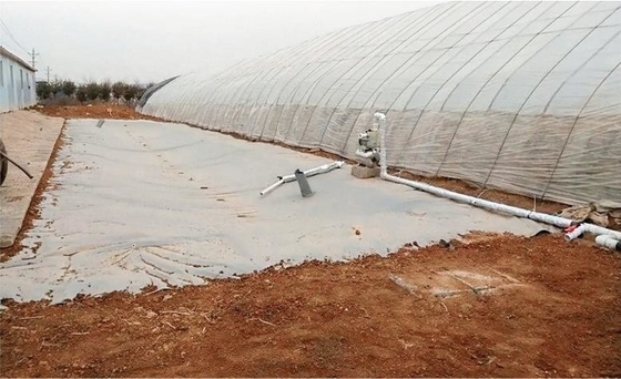 Greenhouse Rainwater Collection PVC Tarpaulin Water Storage Tank for Farming Irrigation