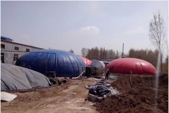 Flame Retardant Methane Storage Tank Red Tarpaulin With Large Capacity 10000L Liquid Containment Fuel Bladder