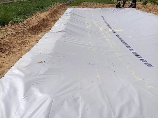 PVC Tarpaulin Foldable Agricultural Rainwater Collection Bladder