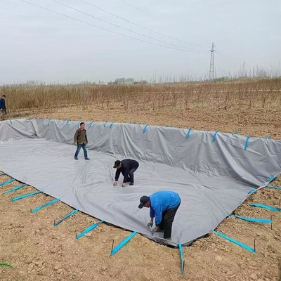 PVC Tarpaulin Foldable Agricultural Rainwater Collection Bladder