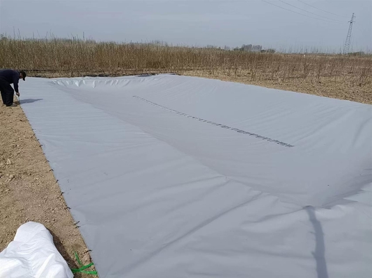 PVC Tarpaulin Foldable Agricultural Rainwater Collection Bladder