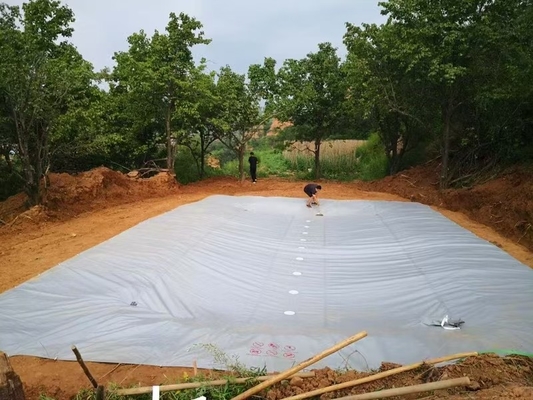 PVC Tarpaulin Foldable Agricultural Rainwater Collection Bladder