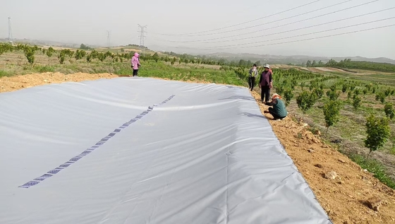 Greenhouse Rainwater Collection PVC Tarpaulin Water Storage Tank for Farming Irrigation