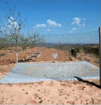 Durable Agricultural Rainwater Harvesting Bag for Efficient Storage