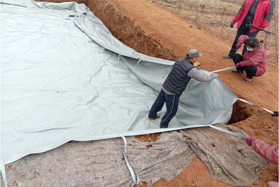 Durable Agricultural Rainwater Harvesting Bag for Efficient Storage