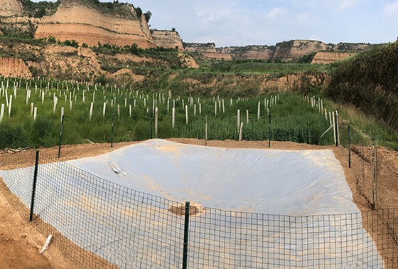 Eco-Friendly PVC Tarpaulin Rainwater Collection Tank for Agriculture
