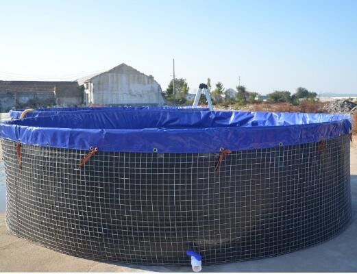 16m Diameter 301,440 Liters Collapsible Round Fish Pond PVC Tarpaulin Outdoor Fish Tank