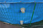 Foldable 50000 Liters PVC Tarpaulin Fish Pond With Steel Mesh
