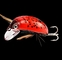 Floating Small Minnow Bait Crank Beetle 8 Colors 3.8cm / 4.1g