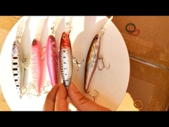 Plastic Lures sea bass wild fishing
