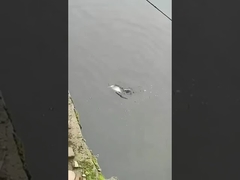 Fishing Lure Bait Full Swimming Layer Fake Bait Sea And Fresh Water