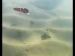 Blood Worm Lures Full Swimming Layer Minnow Multi Jointed Fishing Lure